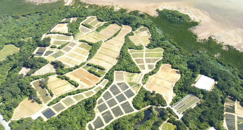 パイランドファーム空撮画像